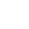 DJ Riddu