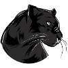panther