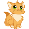 kitten