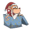 Affe als Weihnachtsmann im Geschenk