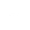 Traveller