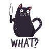 Katze