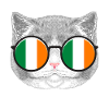Ireland cat sunglasses
