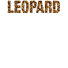 Leopard Is The New Black