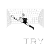 Nice try