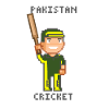 Pakistan Cricket Pixelman