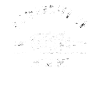 mimimi