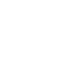Carnival guard dance