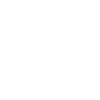 Carnival guard dance