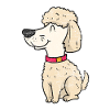 Obedience dog sport