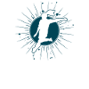 Frauenfußball Fußball