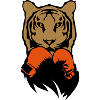 tigre boxeur gant boxe