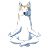 Yoga Akita Dog