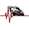 Motorcycle pulse 1