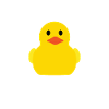 Funny Duck Meme Duck Pun Duck Joke