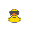 Duck with Me Duck Meme Duck Pun Duck Joke