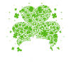Saint Patricks Day homeland Ireland