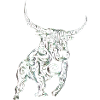 bull