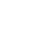 Maler & Lackierer Evolution