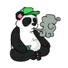 Smoking Panda Hipster