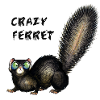 Ferret foufou-mignon-Hug
