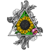 Sunflower Sacred Geometry