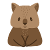wombat