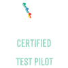 Certified Rollercoaster Test Pilot