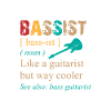Bassiste - guitare, basse