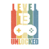 Level 13