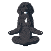 Yoga Portuguese Water Dog