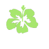 Hawaii flower beach beach gift