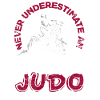 Judo Alter Mann