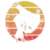 Judo retro