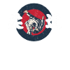 Judo martial arts