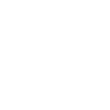 Avocado sapling