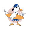 Surfer gull