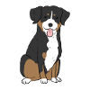 Chien Appenzell