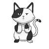 Cat middle finger