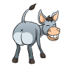 Funny donkey