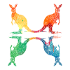 Kangaroo Australia