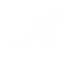 kangaroo