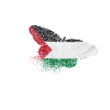 Palestine butterfly flag