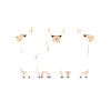 Alpaca team