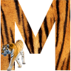 tiger m
