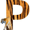 tiger p