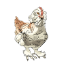 Éleveurs d'oeufs de poule