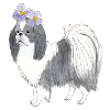 Japanese Chin With Flower