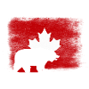 canadian bear