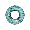 Iris bleu